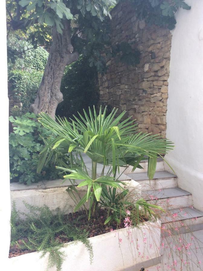 Maison Ancienne Minervois La Caunette Zewnętrze zdjęcie