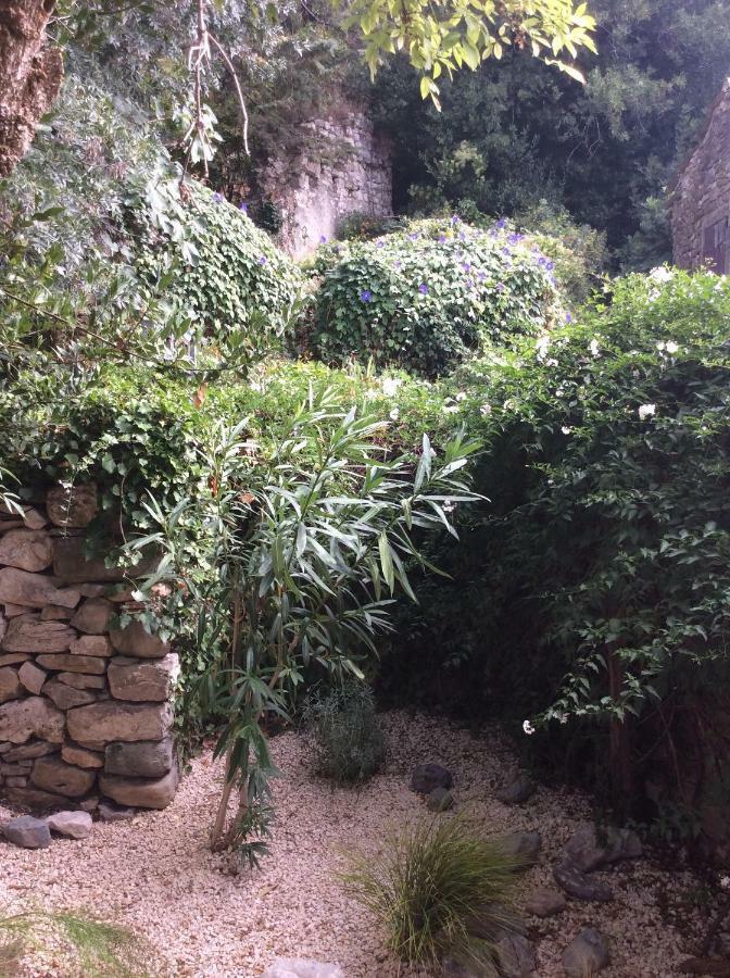 Maison Ancienne Minervois La Caunette Zewnętrze zdjęcie
