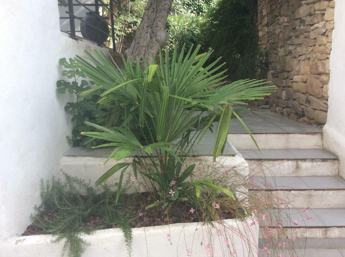 Maison Ancienne Minervois La Caunette Zewnętrze zdjęcie
